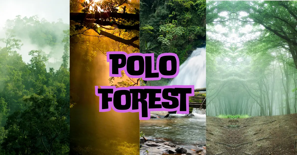 polo forest gujarat